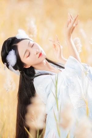 公主恋人全集ova动漫在线观看