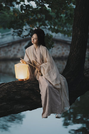 军长的隐婚娇妻