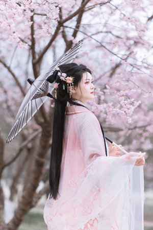 孟若羽天美专辑