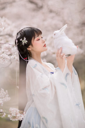 野花电视剧高清免费全集观看