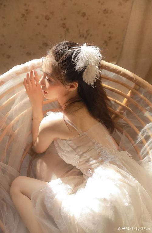 仙人掌app最新下载入口