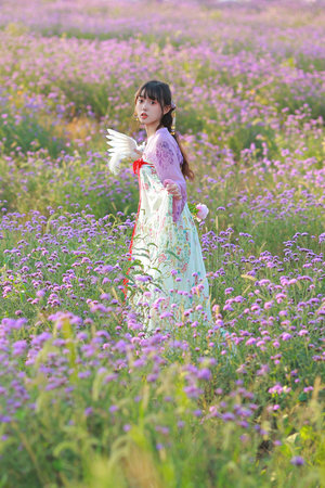 青云志在线观看