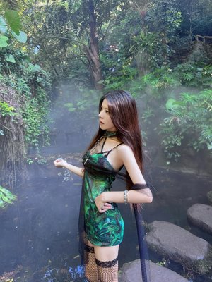 颜丙燕个人资料