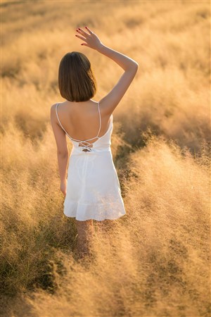 888影视网免费看电视剧