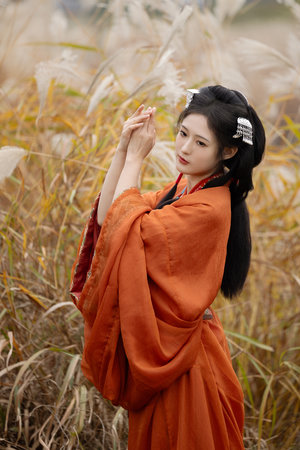 阿兵的快乐生活小说全章节