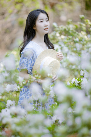 唐朝诡事录免费观看星辰影视