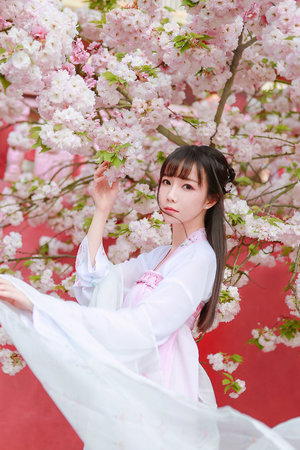 陈情令全集免费观看完整版高清