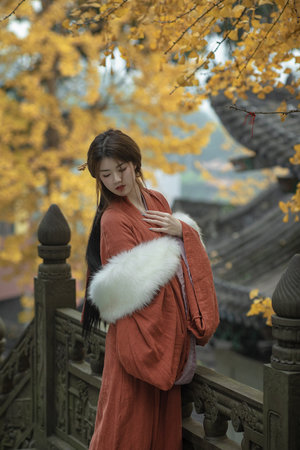 妈妈的朋友