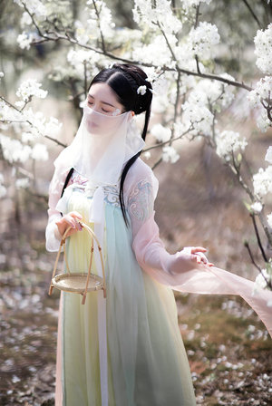 在那遥远的地方免费播放