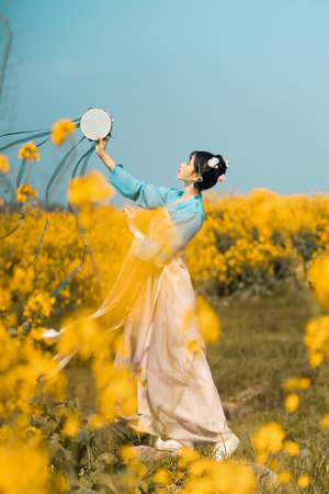 宠物情人剧情介绍