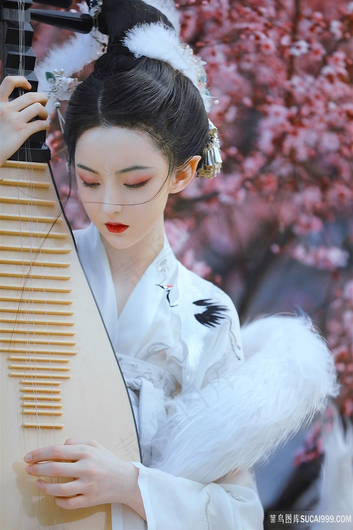 请成为我的家人电视剧在线观看