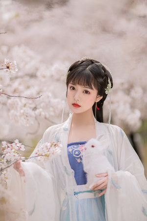 在线视频一区二区三区