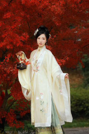 乱小说录目伦500