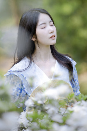 陈宝莲电影在线观看