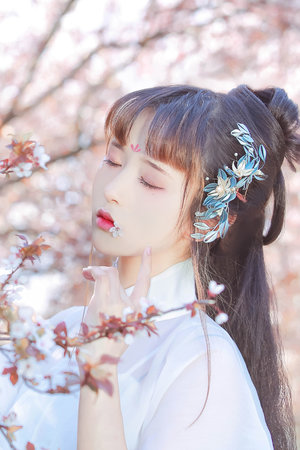 齐天大圣孙悟空观看