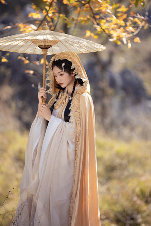 新居之约播出时间