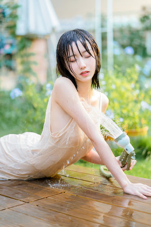 电视剧包青天之碧血丹心