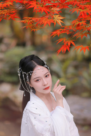 汤姆影院tom址入口