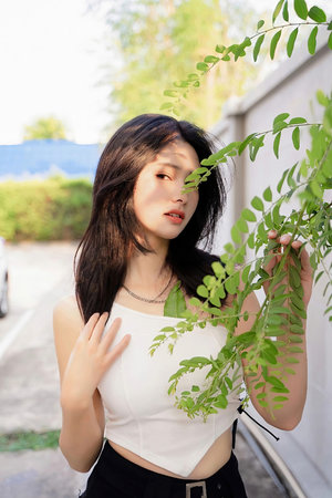 91动漫在线观看