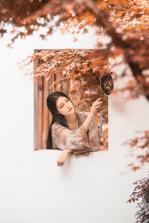 野花韩国高清完整版在线观看