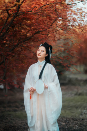 加勒比海盗成人版