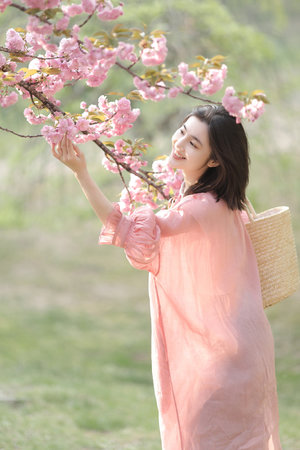 天龙之少林门徒