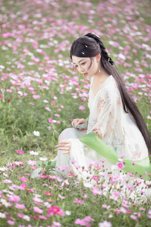 黄飞鸿4国语版下载