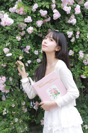 大漠枪神电视剧全集