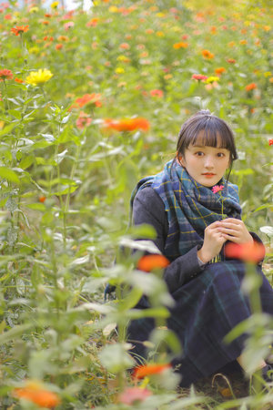 阴阳师之晴雅集在线观看国语