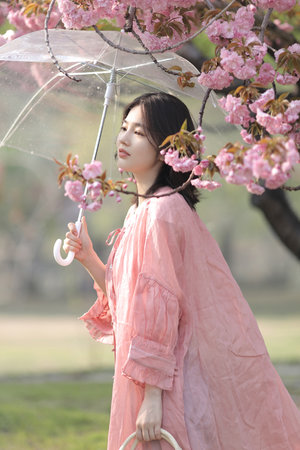 春潮烂漫海棠花