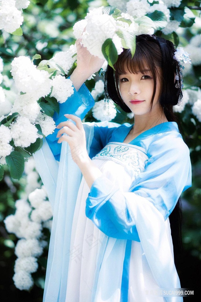 大宋宫词全部演员表