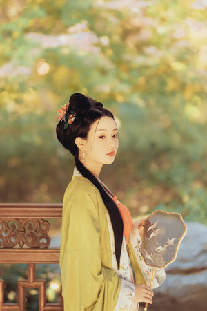 (NP、高H、纯肉)文